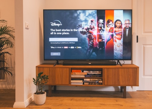 A flat-screen TV on a wooden stand displays Disney+ with various characters on the screen. The room has a plant on the floor and books stacked on the stand.